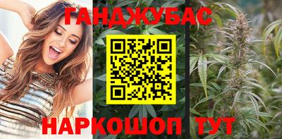 сатива Будённовск