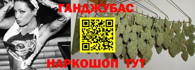 сатива Будённовск