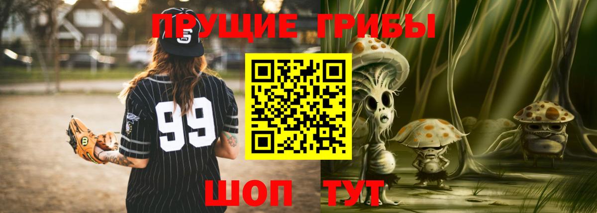Псилоцибиновые грибы GOLDEN TEACHER  Галлюциногенные грибы Psilocybe  Вход с VPN  Прохладный 